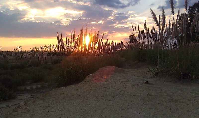 Jozi sunset on a mine dump.