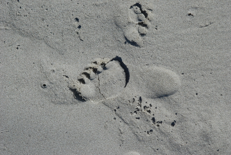 all i leave is foot prints, when i die