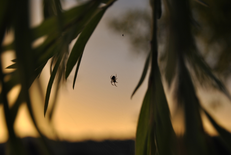 Invincible threds.........