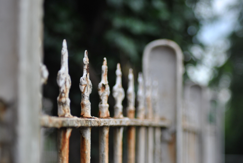 Resisting to fade......! ( fallen beauty #2 )