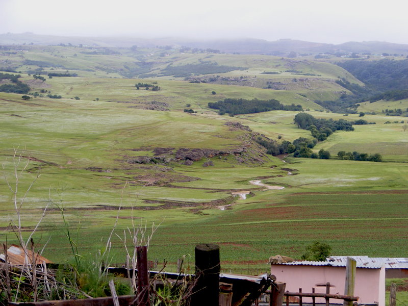 Inspiration | Nation