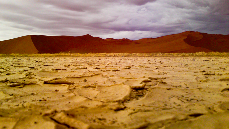 When the Dust Settled...