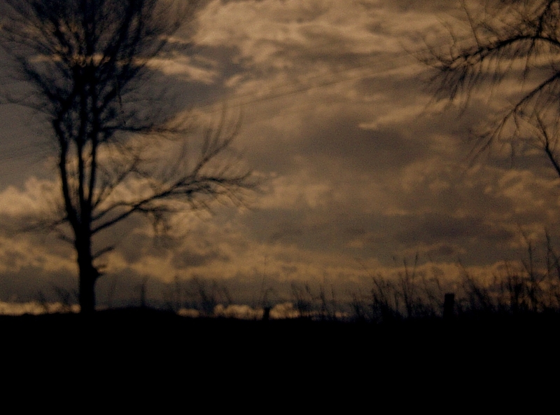 Loosing vision's not an option....!