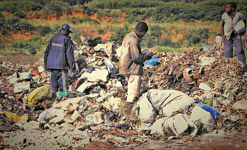 I do not feel that I have. I not mourn what might have