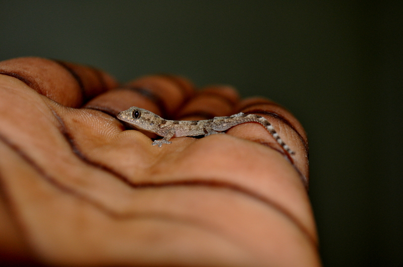 Facing a Titan.........