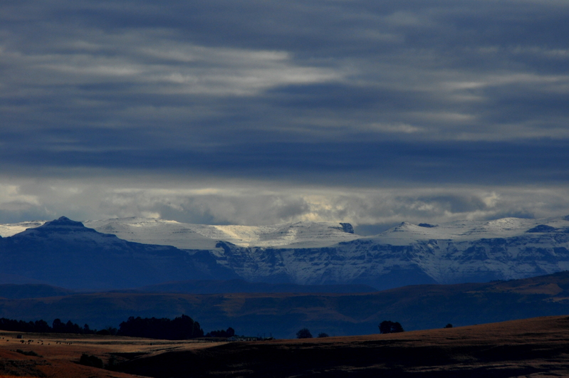 Different shades of bitterness.......