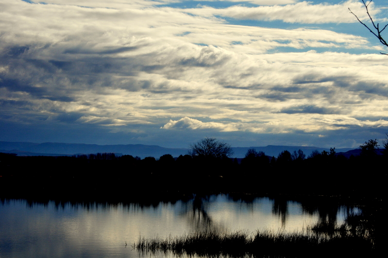 Freeze frame(of mind)