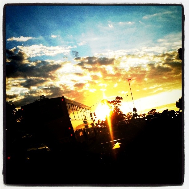 Beautiful Morning ...