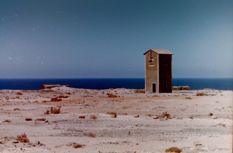 More from Elizabeth Bay...