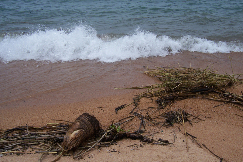 TravellingMan - RoadTrip Malawi [6] - Debris