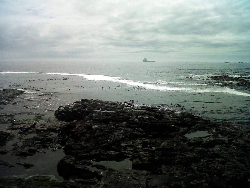 misty morning love-in