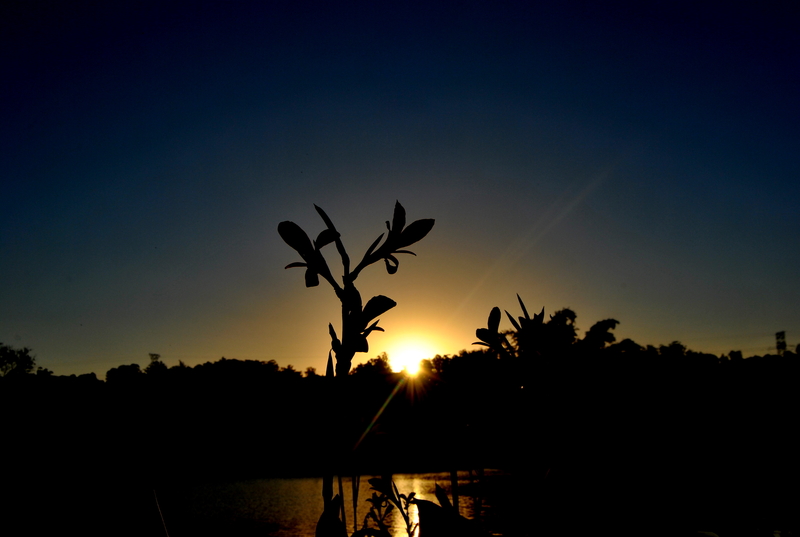 Emlanjeni( by the river)