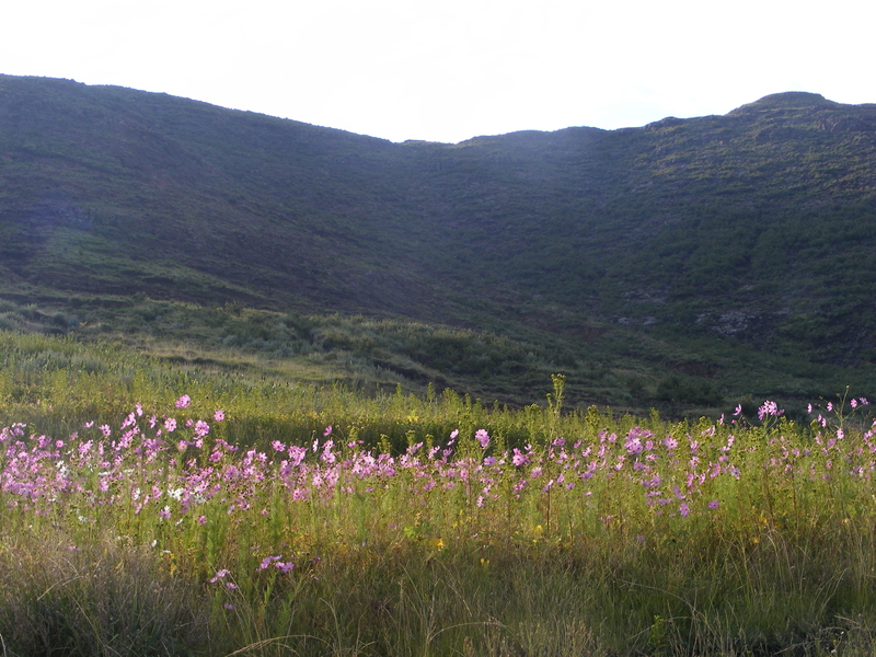 TravellingMan | Malelealea Roadtrip [16]