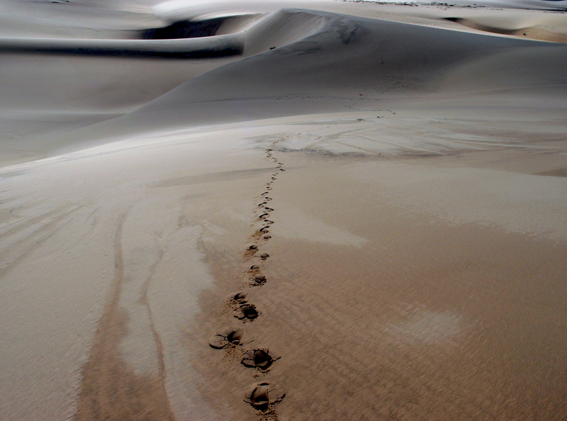 Walking on the dunes