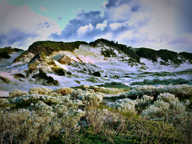 The Dunes of Pathi Lagon (Mocambique)