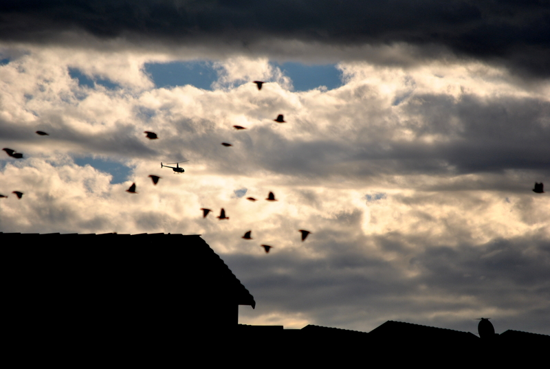 Flyin solo - against the tide