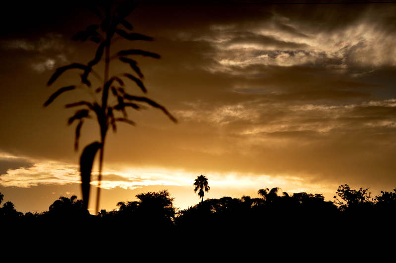 Testing - one two one two