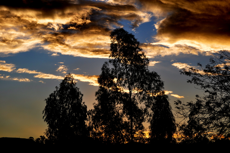 As the sun sets.....