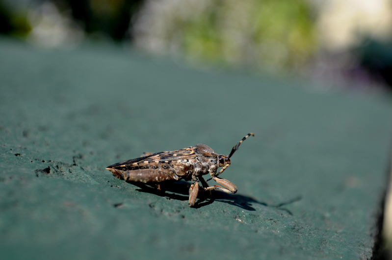 All that's left......