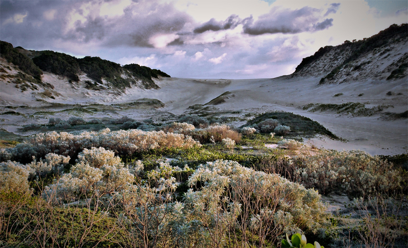 Pahti Lagoon - Gaza - Mozambique