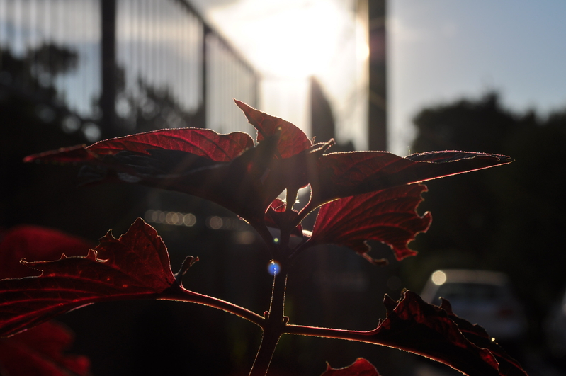 Different shades of light......Fooling around #5