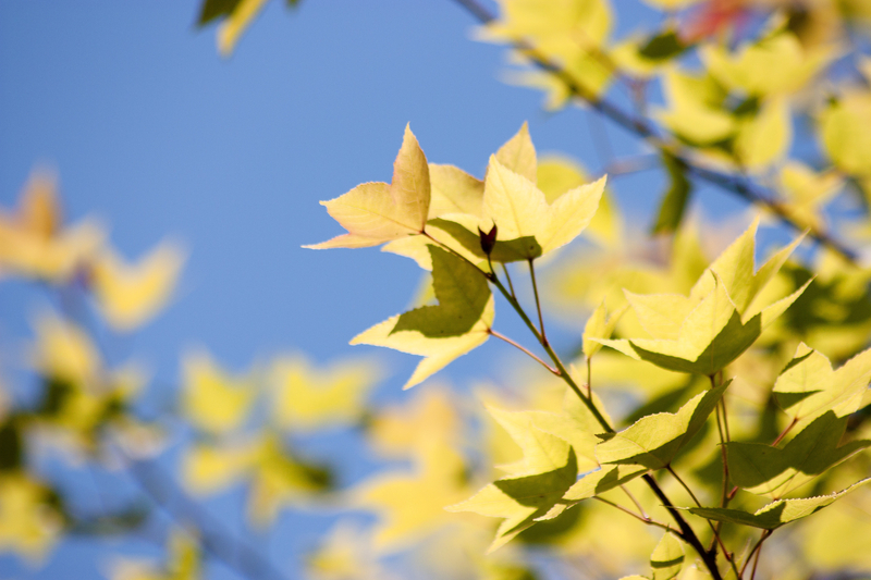 ...have you seen me lately?