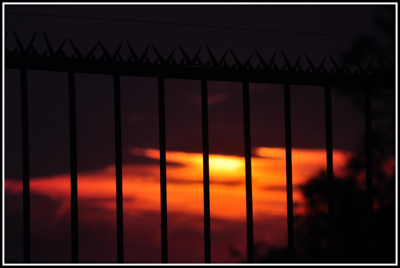 No ristrictions......no limits #2