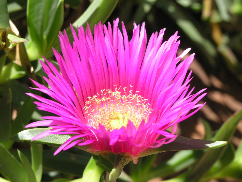 Voortrekker monument[5]
