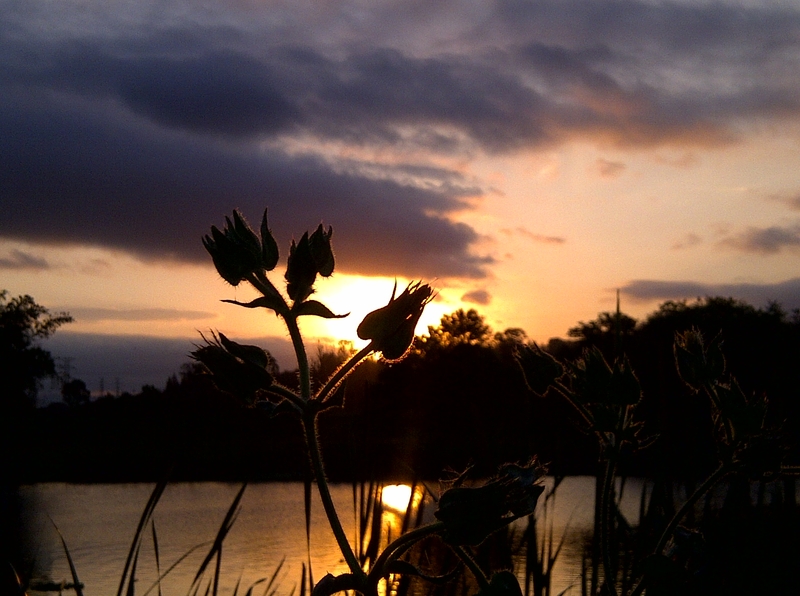 Rules of engagement: improvise......always