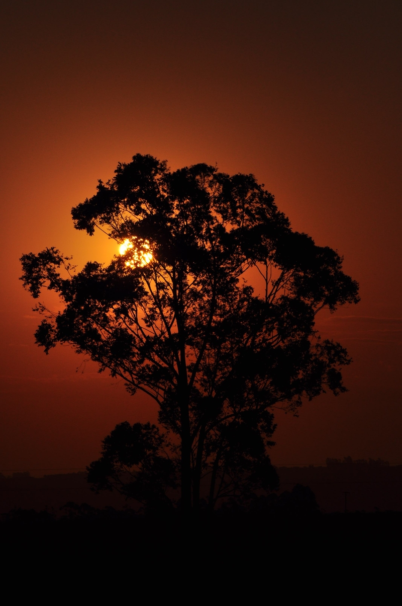 Haven's on fire.......