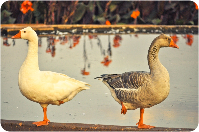 I need a title for this