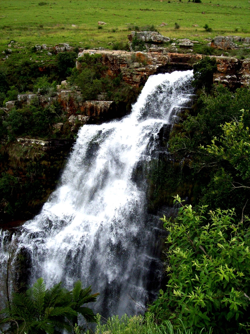 Motsamai - Intrepid Traveller From Distant Lands