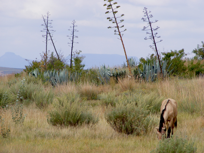 TravellingMan | Thaba-Bosiu [14]