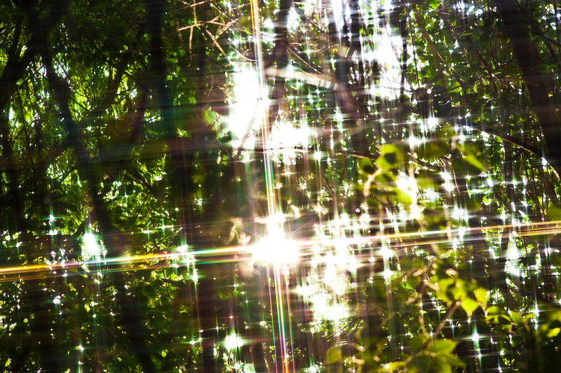 Twinkle Twinkle Little Star