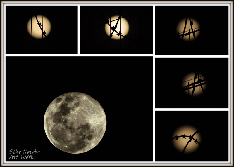 Fooling around last night....