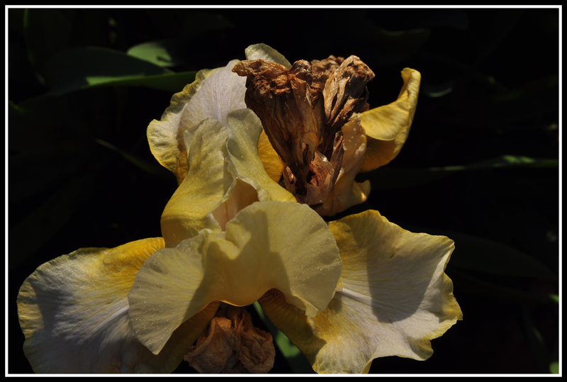 Don't let death shun your beauty.......after all,we'rethe children of the soil