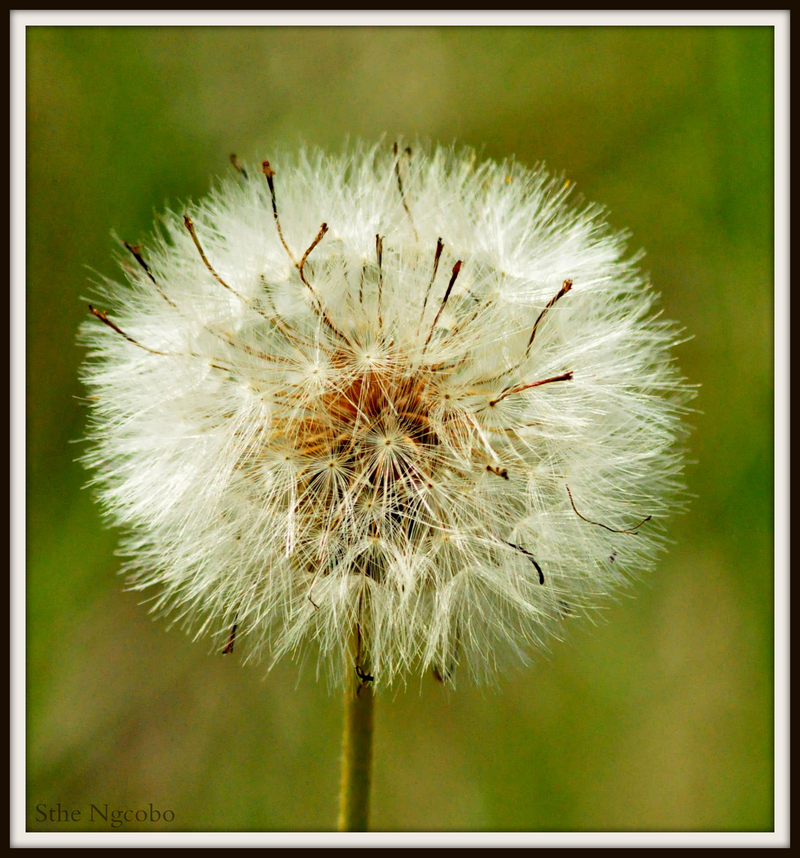 Ready to take flight........