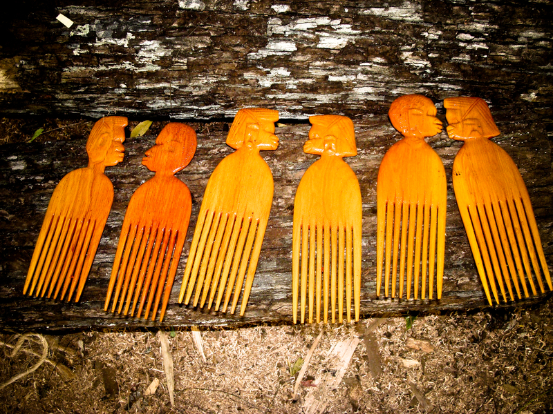 combing through the woods