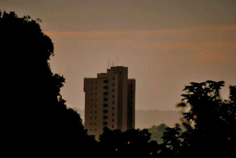 Outside my window..........