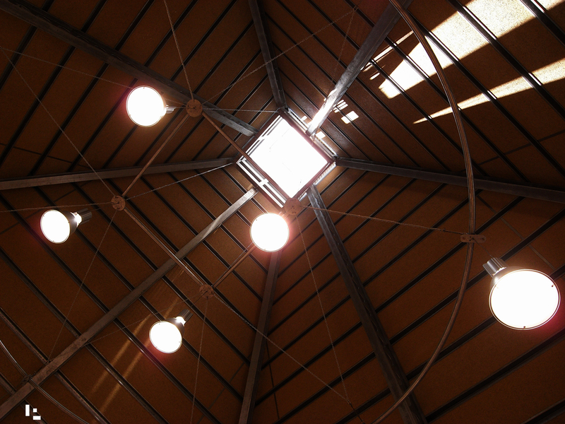 The life of the mind