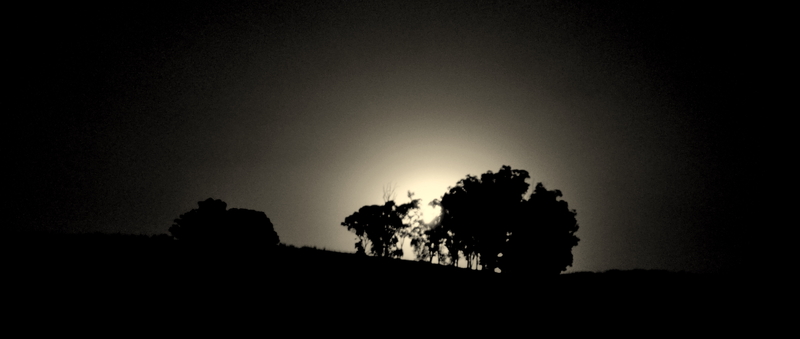 Seeing such makes me believe even more in God