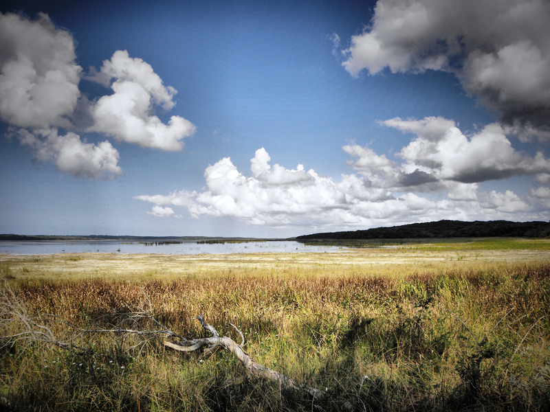 On my way to Ponta do Ouro - Mocambique