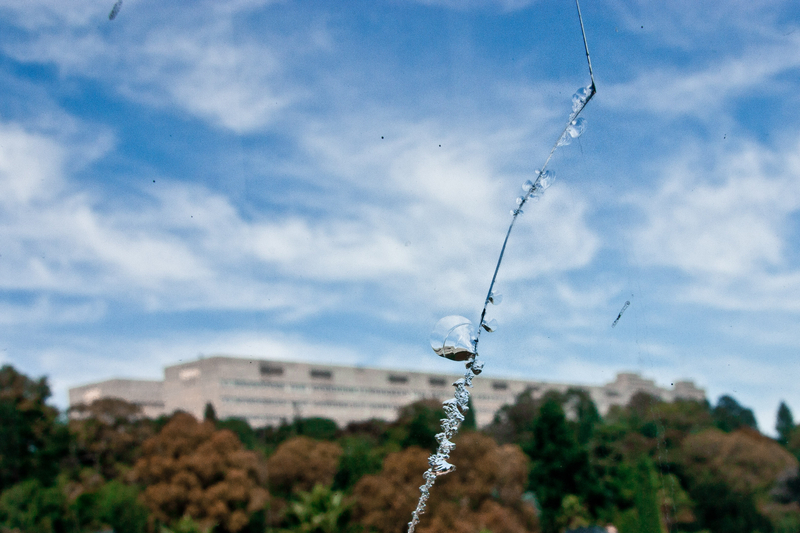 A story that must be told...