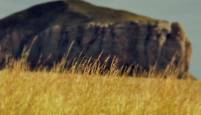 Familiar sights.....