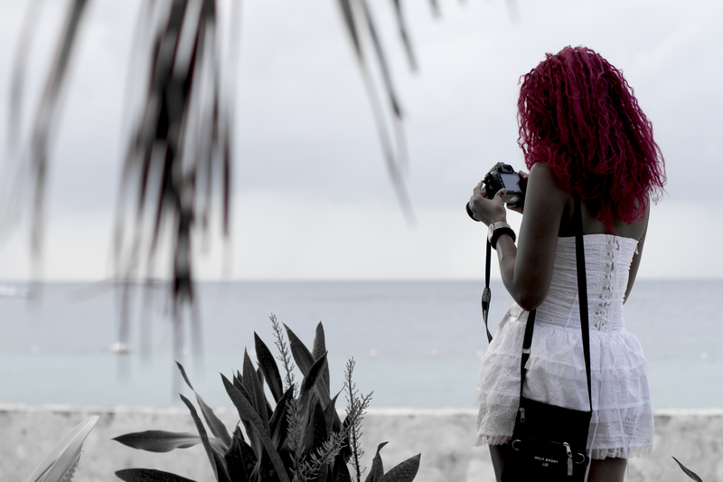 A Picture of Some Photo's