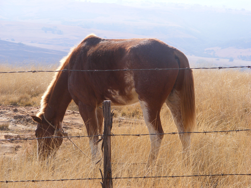 TravellingMan | Taung [4]