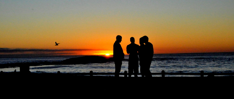 Plans and discussions