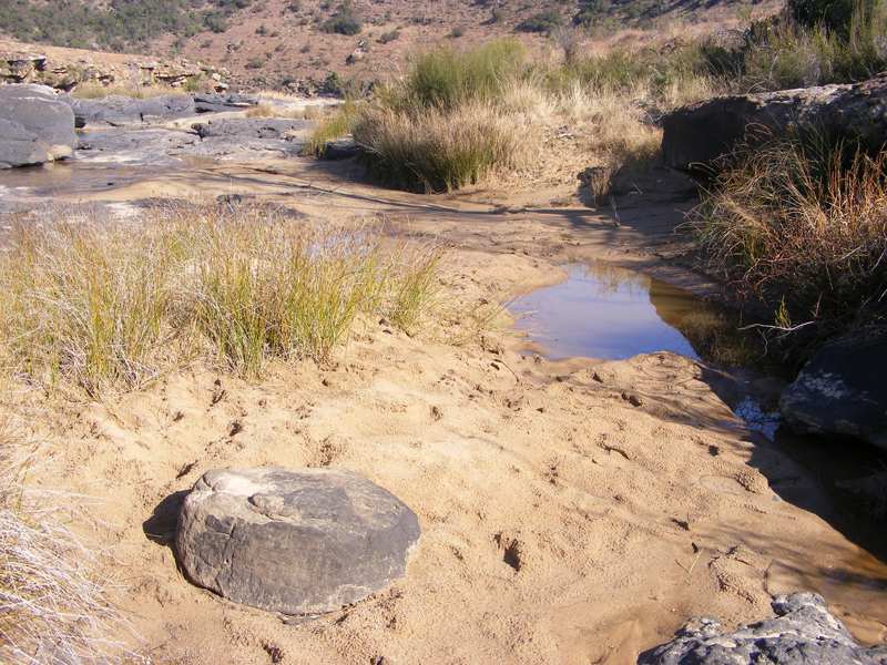 TravellingMan | Tsitsa