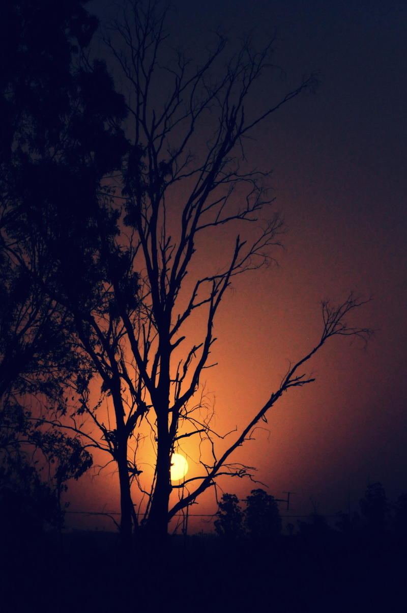 Warm days ahead.....