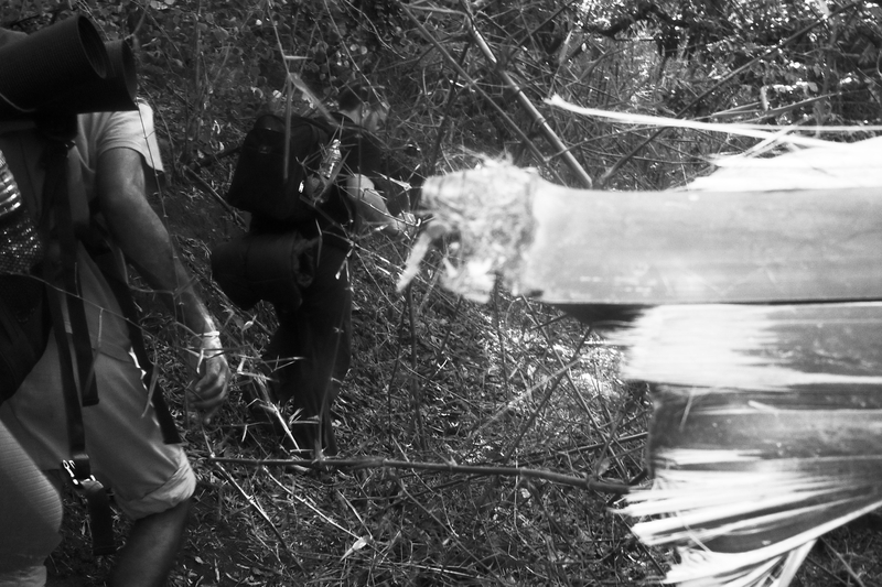 Walk up Vellingiri Mountain (smokey mountains)